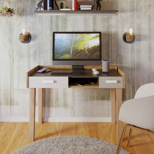 Muncie Wooden Laptop Desk With 2 Drawers In White And Oak